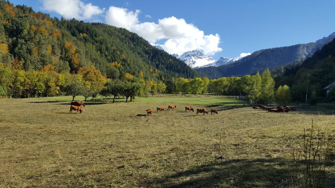 Gite De Boscodon Crots Екстериор снимка