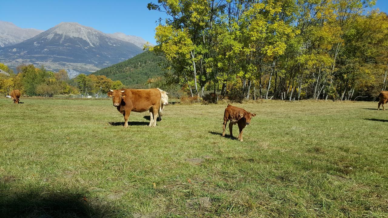 Gite De Boscodon Crots Екстериор снимка